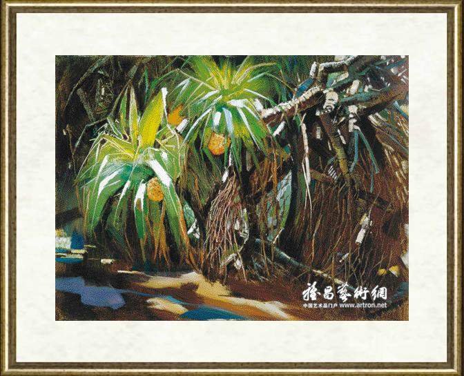 王昌楷_野菠萝^-^Wild Pineapple
